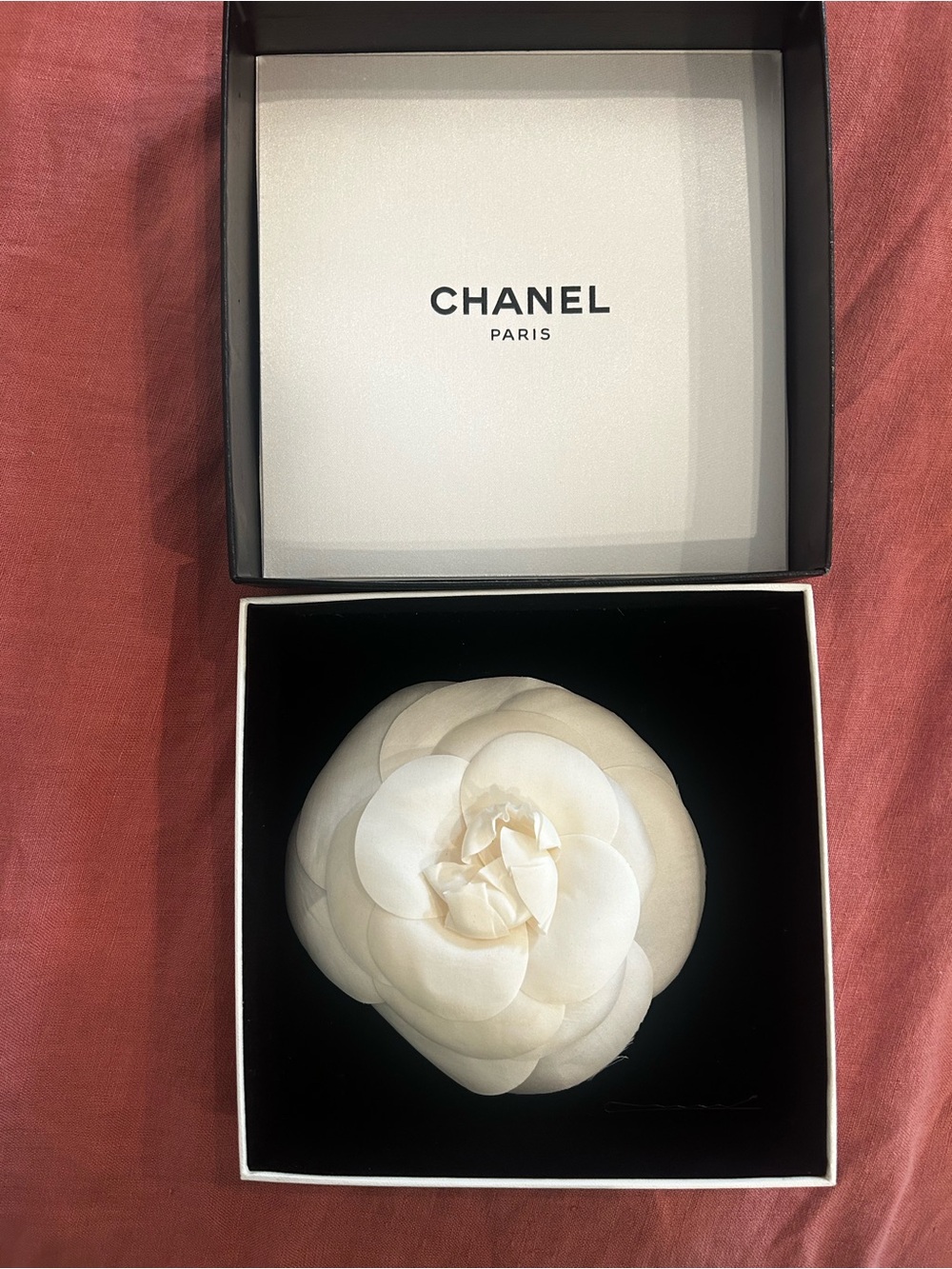 CHANEL Ivory Camellia Flower Brooch in Box